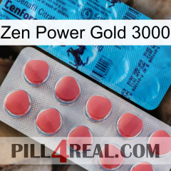 Zen Power Gold 3000 new14